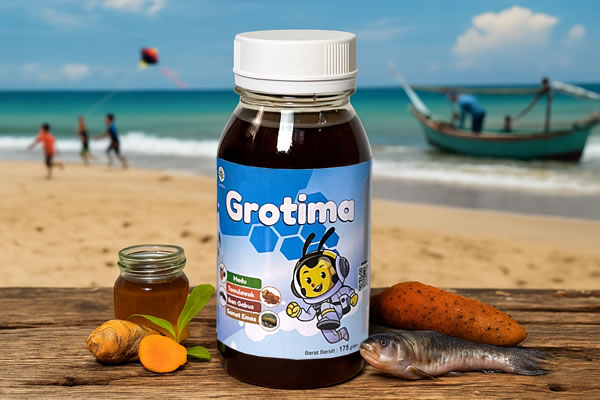 grotima mengandung gamat emas dari laut